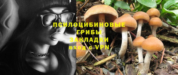 гидропоника Верхнеуральск