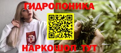 мяу мяу мука Бузулук