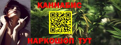 молекула духа Будённовск