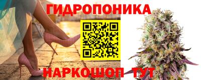 мяу мяу мука Бузулук