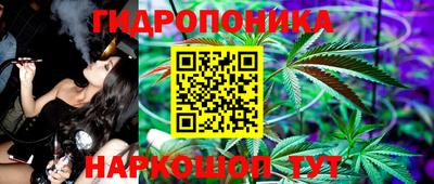 молекула духа Будённовск