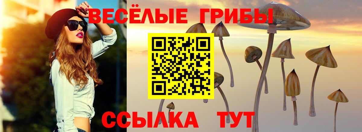 Псилоцибиновые грибы GOLDEN TEACHER  Вход с VPN  Воскресенск 